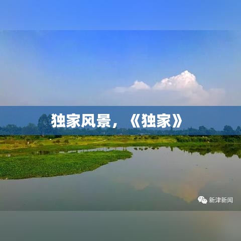 独家风景，《独家》 