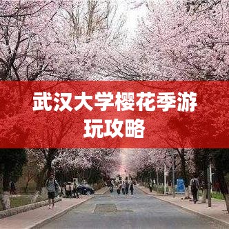 武汉大学樱花季游玩攻略