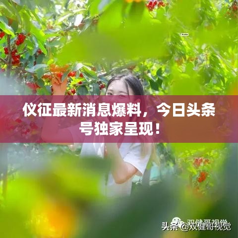 仪征最新消息爆料，今日头条号独家呈现！