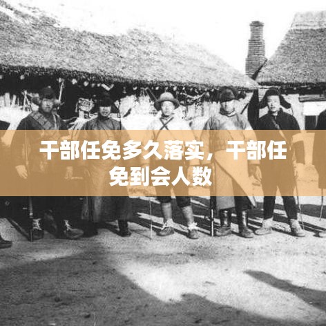 干部任免多久落实，干部任免到会人数 