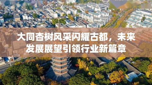 大同杏树风采闪耀古都，未来发展展望引领行业新篇章