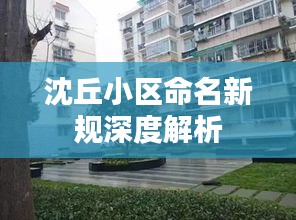 沈丘小区命名新规深度解析