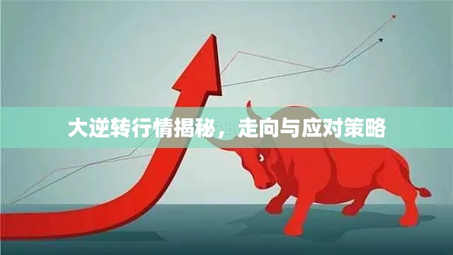 大逆转行情揭秘，走向与应对策略