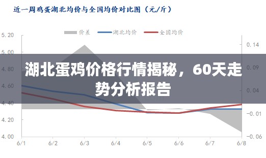 湖北蛋鸡价格行情揭秘，60天走势分析报告