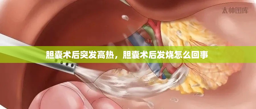 胆囊术后突发高热，胆囊术后发烧怎么回事 