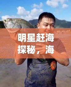 明星赶海探秘，海洋魅力与乐趣大揭秘