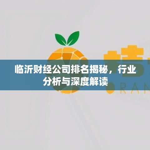 临沂财经公司排名揭秘，行业分析与深度解读