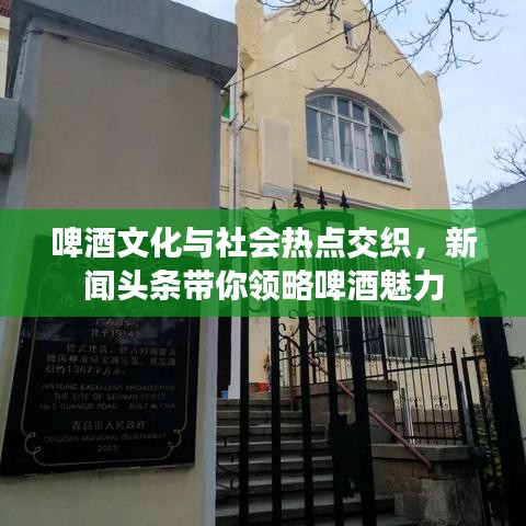 啤酒文化与社会热点交织，新闻头条带你领略啤酒魅力