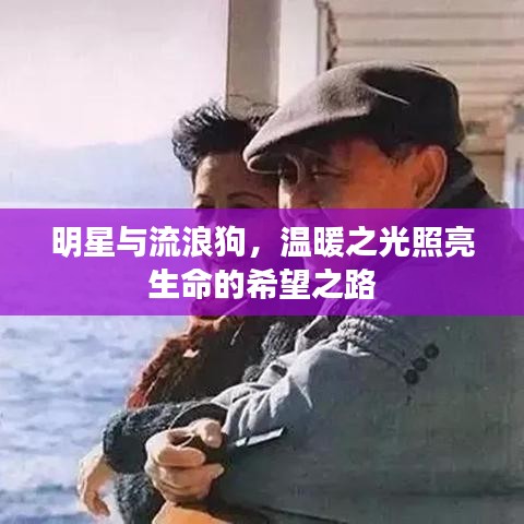 明星与流浪狗，温暖之光照亮生命的希望之路