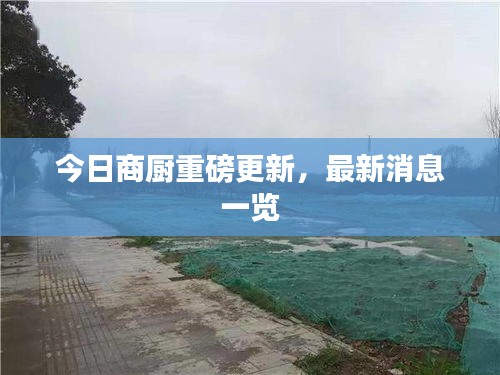 今日商厨重磅更新，最新消息一览